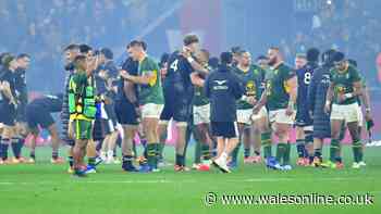 New World Rugby rankings published as global order shaken up after defeats