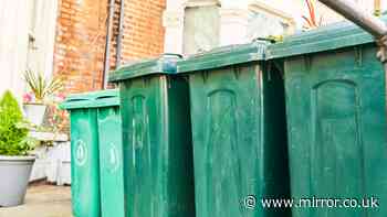 Binman warns 'we are not taking it' if bins have one everyday item inside