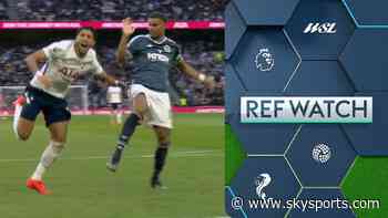 Should Spurs have given a penalty against Newcastle?