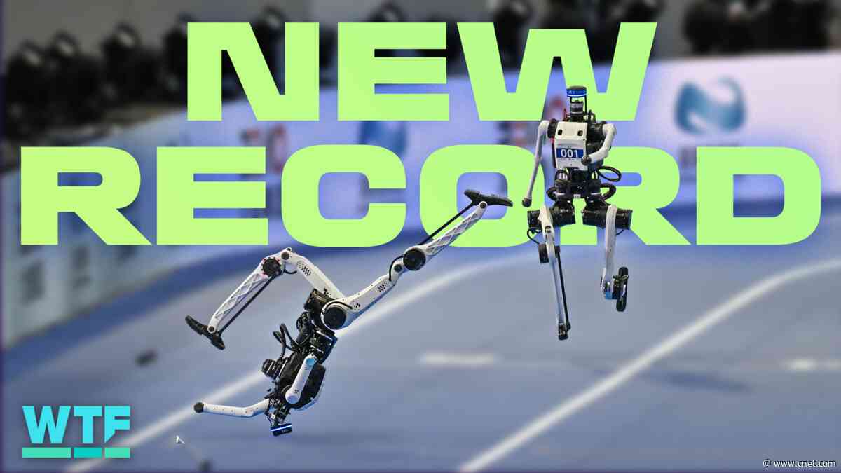 Wildest Highlights From China’s Humanoid Robot Olympics
