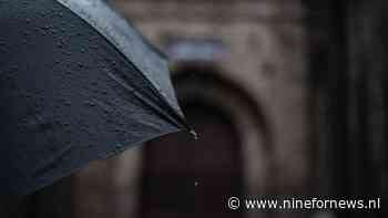 Ze dragen zwarte paraplu’s en stellen verboden vragen: wie zijn de Black Umbrellas?