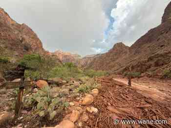 Grand Canyon flash flood leaves 1 dead, several missing