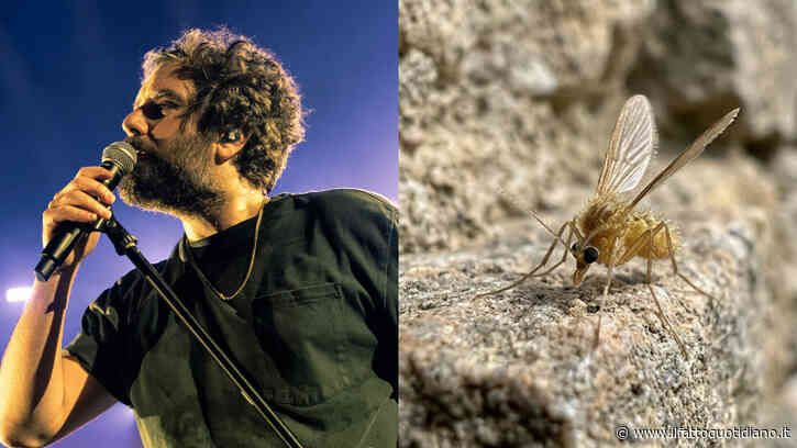 “Un pappatacio ha deciso di pungermi trasmettendomi il Toscana Virus. Sono in via di guarigione, ma non ancora al massimo”: lo rivela Tommaso Paradiso