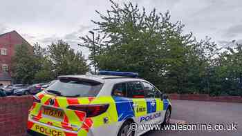 Horror as newborn baby found dead in flat as seven people arrested