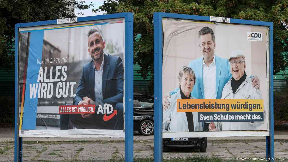 Um die AfD zu schwächen – Initiative wirbt für besondere Art des Wählens