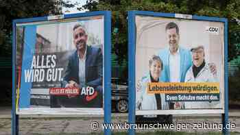 Um die AfD zu schwächen – Initiative wirbt für besondere Art des Wählens