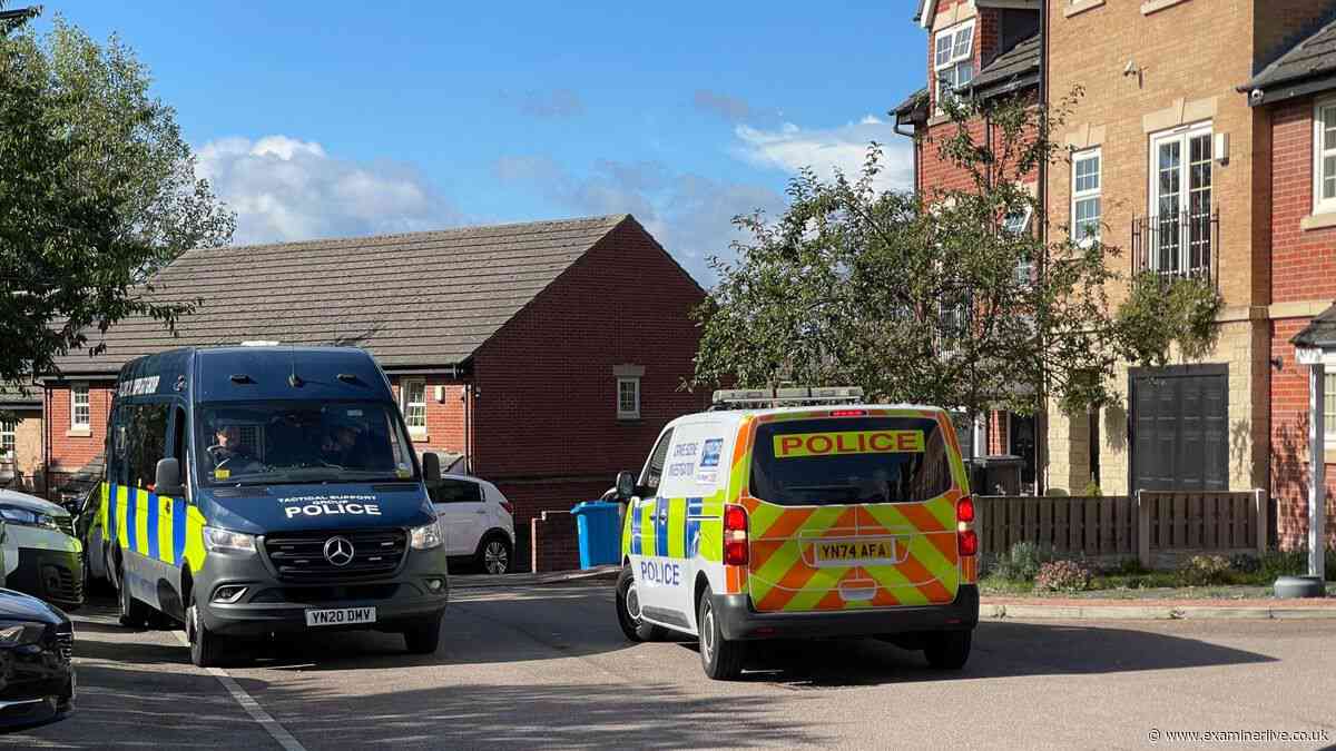 Baby girl found dead in Sheffield and seven murder arrests - everything you need to know