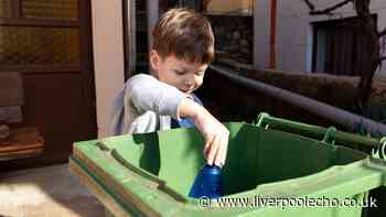Binman says 'don't put this in bin' as 'collected separately' reminder issued