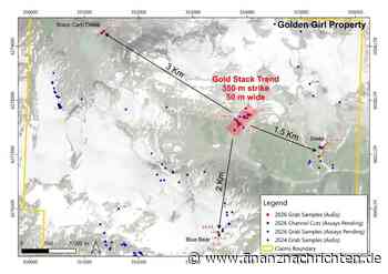 Auch hohe Gold- u. Kupferwerte: Gold Runner mit Mega-Fund - Bis zu 25.306 g/t Silber im Golden Triangle!