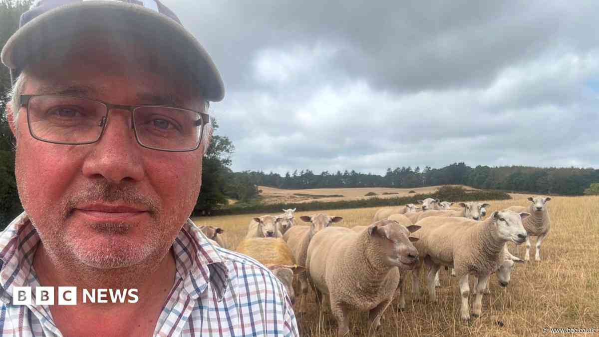 Farmers grieving over bluetongue urged to talk
