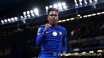 Liverpool plan transfer raid for Chelsea fan favourite to replace Cody Gakpo in surprise deal