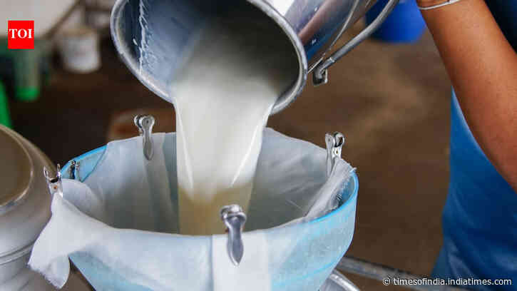 Can you guess India’s Milk Capital? Here’s why this Gujarat city earned the title