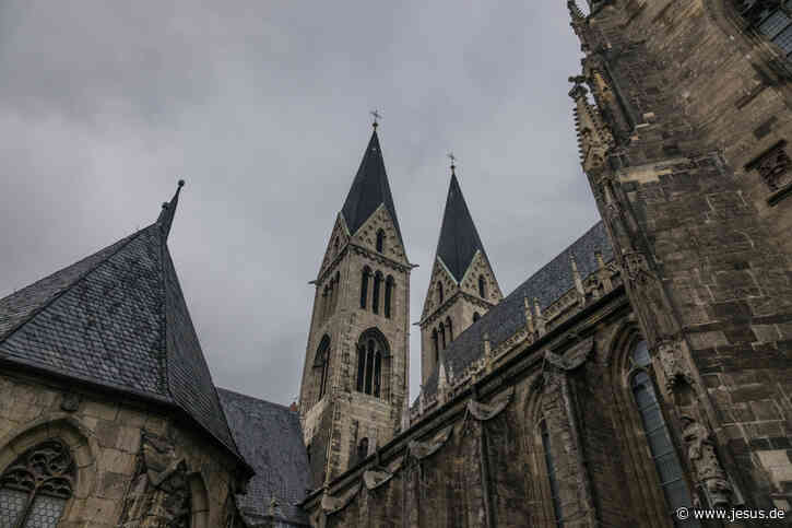 Lasertechnik schützt Halberstädter Dom vor Umweltschäden
