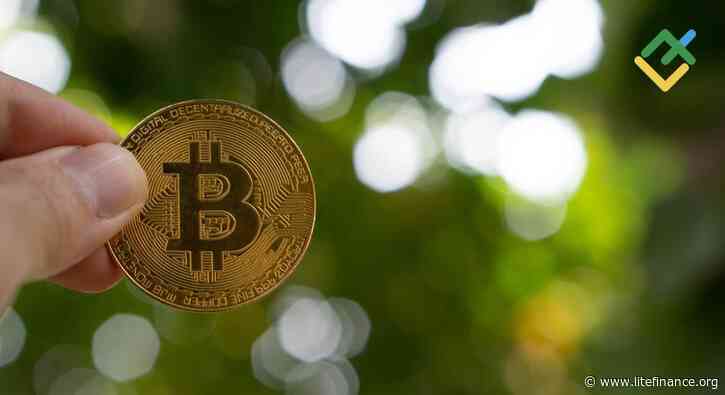 Cryptocurrency Fundamental Analysis