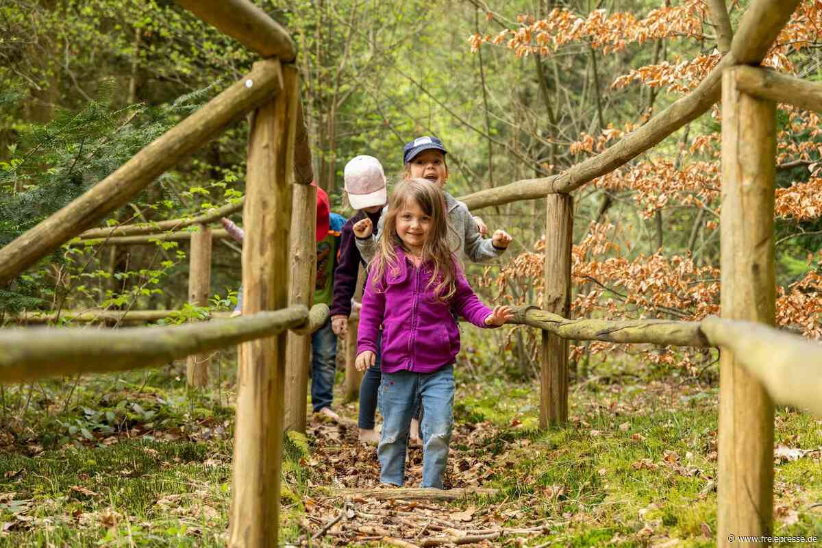 Nabu Freiberg bringt Kinder und Jugendliche in die Natur