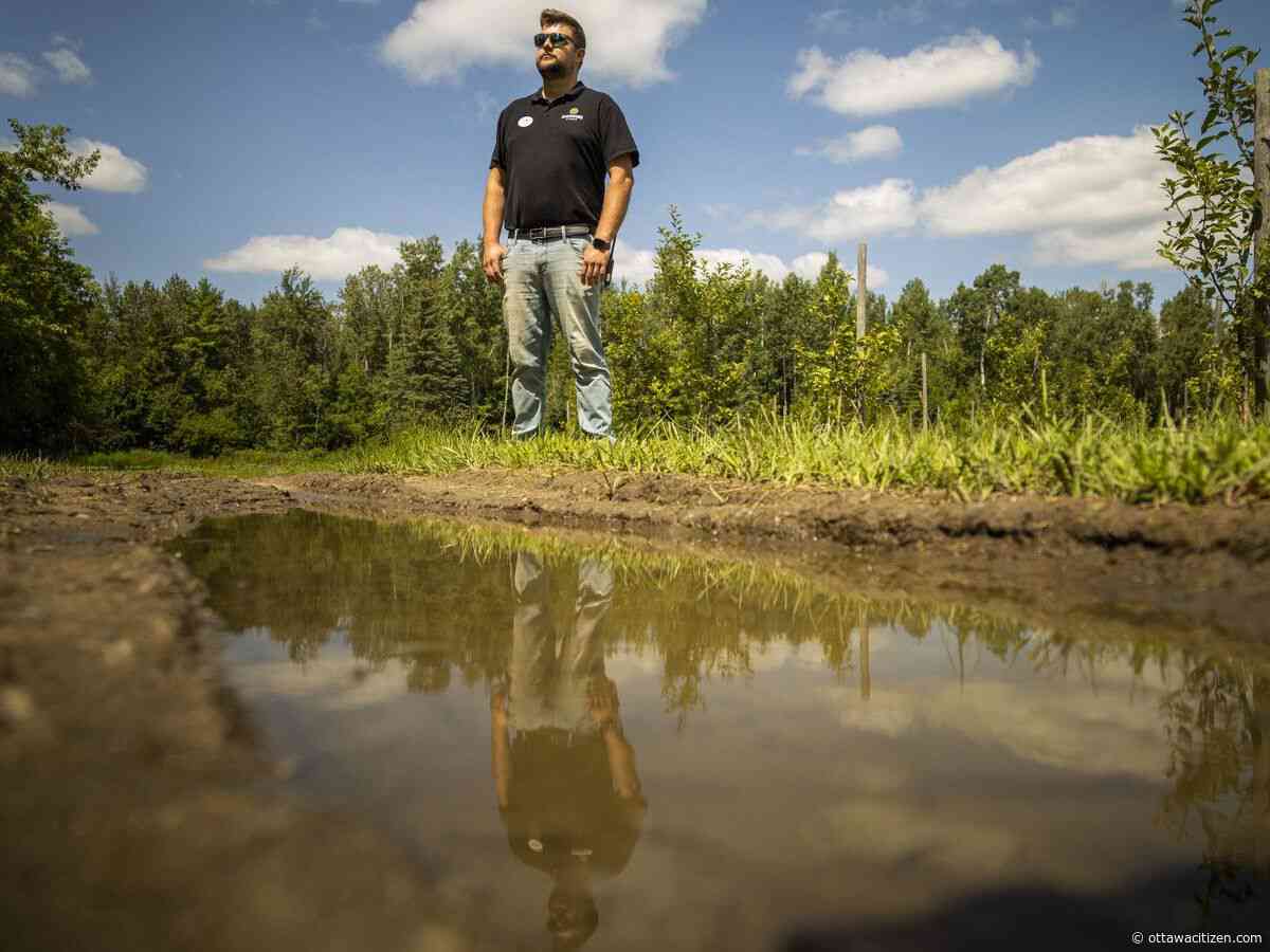 Are unrelenting rainy summers the new normal for Ottawa farms?