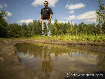 Are unrelenting rainy summers the new normal for Ottawa farms?