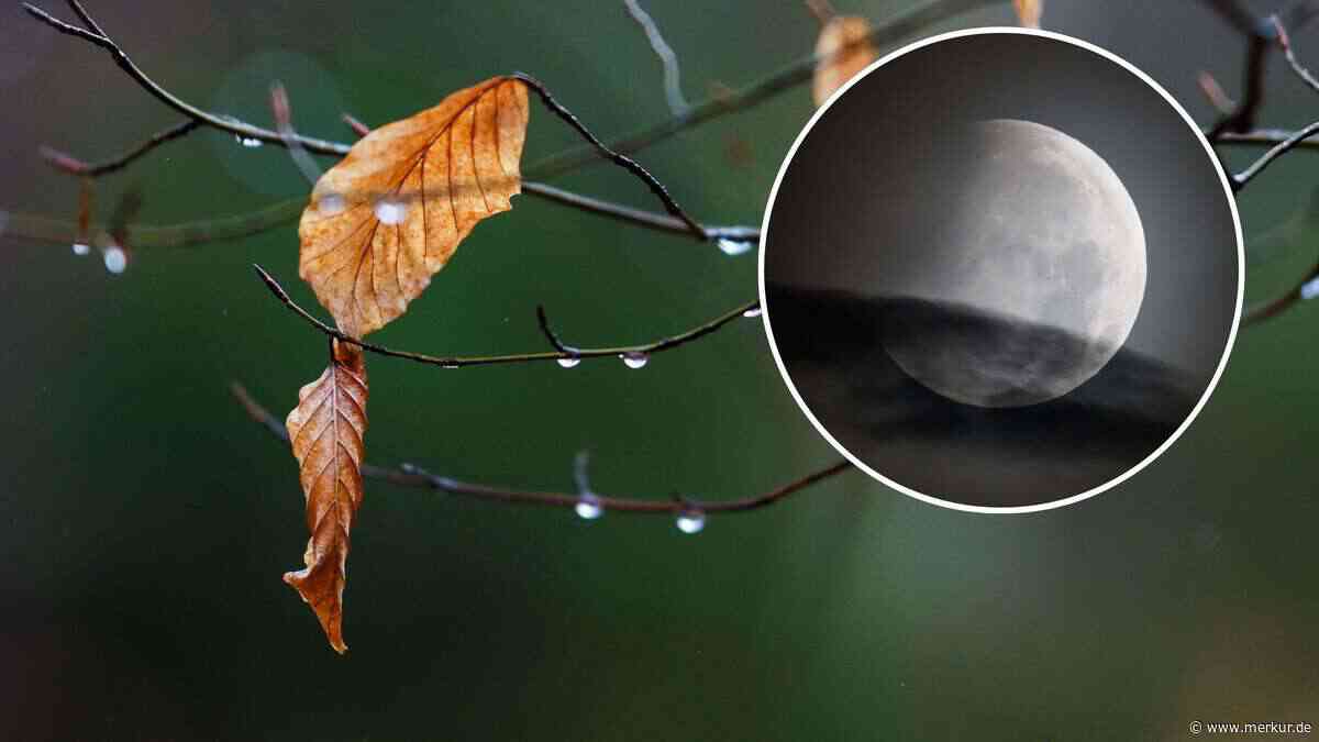Der Herbst wird eingeläutet – astronomisch zu genau einem Zeitpunkt