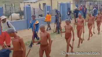 Mass circumcision ceremonies leave 43 boys dead and dozens more mutilated in South Africa