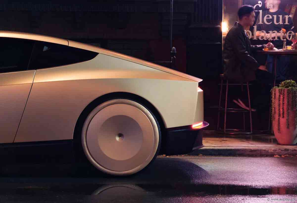 Tesla Robotaxi maakt er een puinhoop van