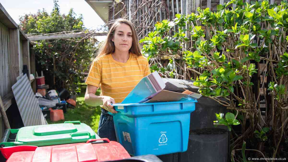 Binman shares 'rip in half' recycling rule when dealing with everyday item