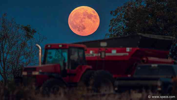 September full moon 2026: When, where and how to see the Harvest Moon