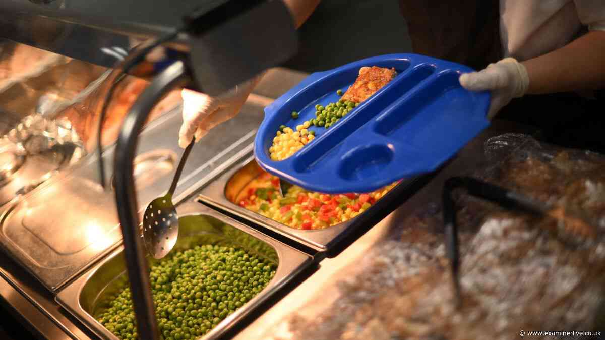 New DWP school dinner September change 'parents unaware' warning