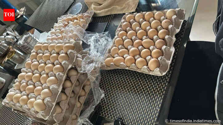 Laid off by Amazon, woman starts chicken farm: ‘I have my product, the eggs’