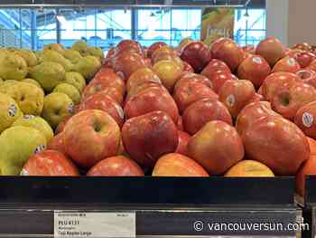 Not seeing local apples in B.C. stores? Here's why
