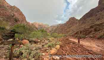 Grand Canyon braces for more storms after deadly flash flood; about 15 people still missing