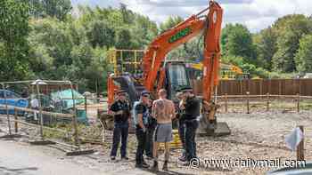 Protesters foil travellers who ripped up wildlife haven on bank holiday as police force them to stop