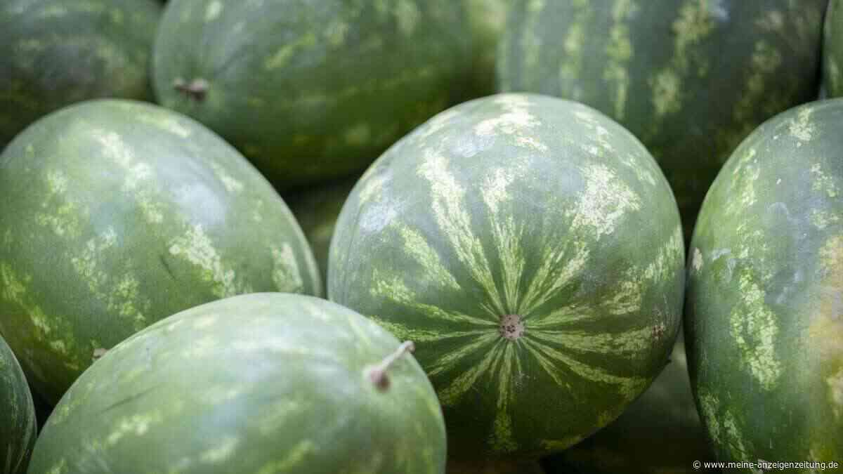 Melonen vom eigenen Feld pflücken: Das Sommerobst wächst jetzt auch in Deutschland