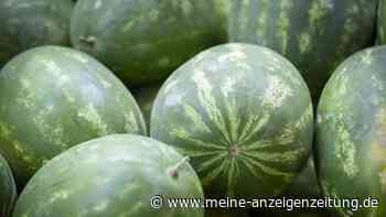 Melonen vom eigenen Feld pflücken: Das Sommerobst wächst jetzt auch in Deutschland