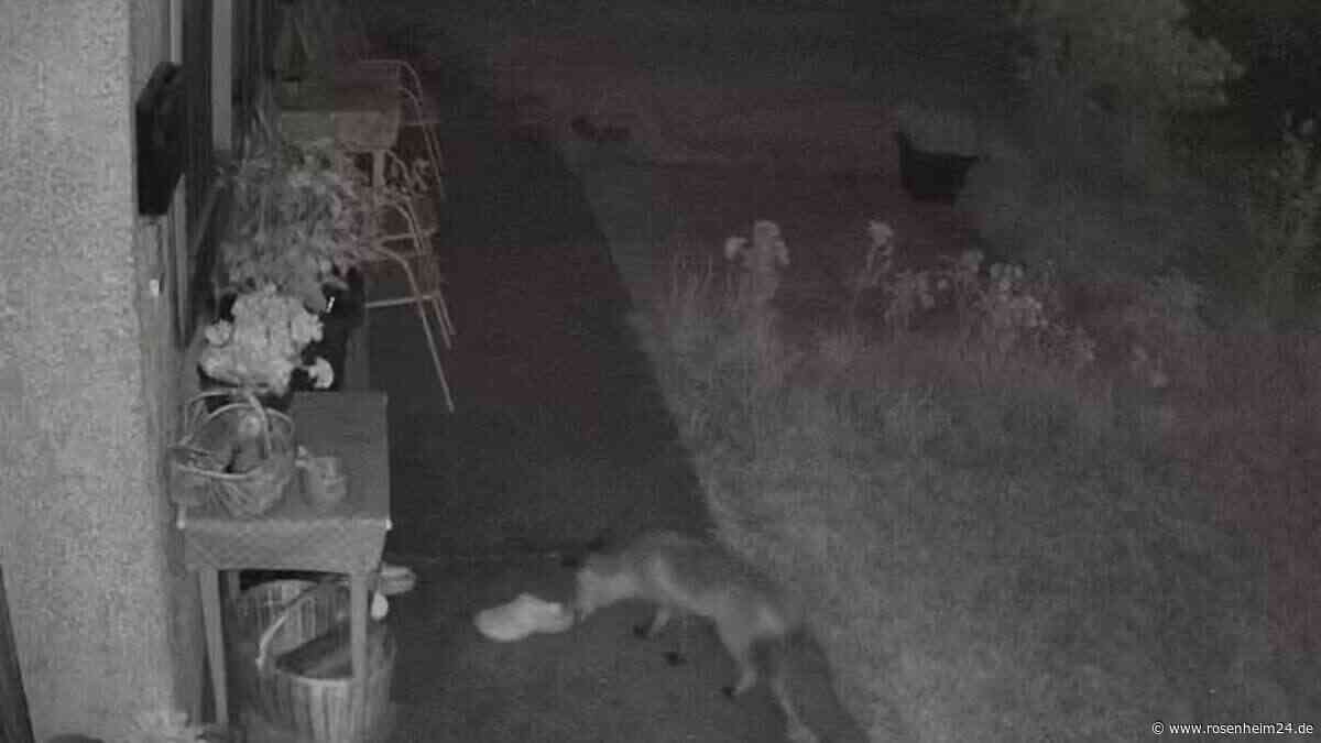 Schuhe vor Haus gestohlen – Überwachungs-Kamera erwischt Diebes-Duo am Tegernsee