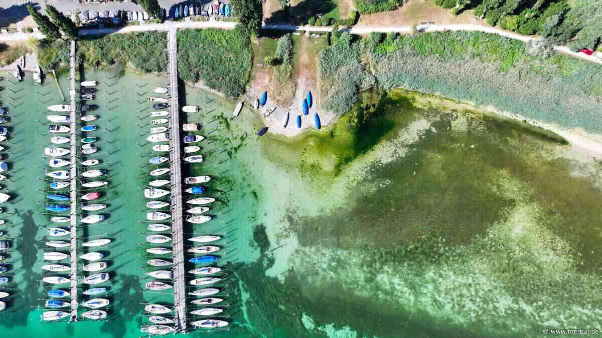 Rekordsommer in Baden-Württemberg: Heißeste Tage seit 145 Jahren – Tausende Hitzetote