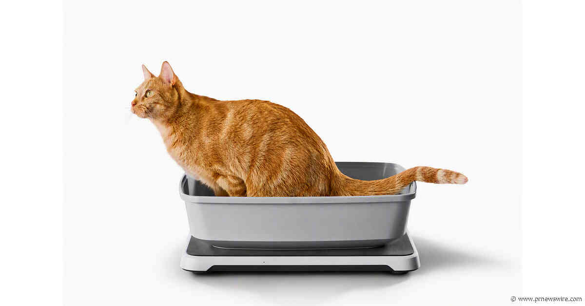 Feline Elimination Patterns Linked to Kidney Disease Demonstrated Through Smart Litter Box Monitor