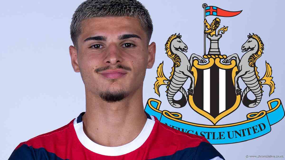 Newcastle United on brink of sensational deadline day swoop as terms agreed with Matias Fernandez-Pardo