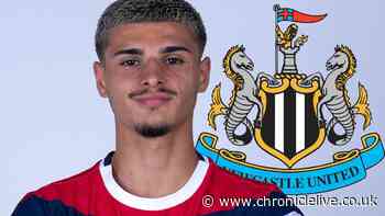 Newcastle United on brink of sensational deadline day swoop as terms agreed with Matias Fernandez-Pardo