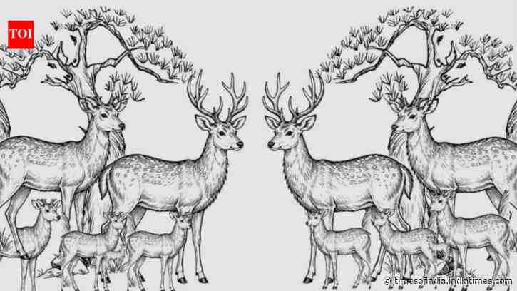 Personality test optical illusion: Only sharp-eyed people can find all the hidden deer in this image within 11 seconds