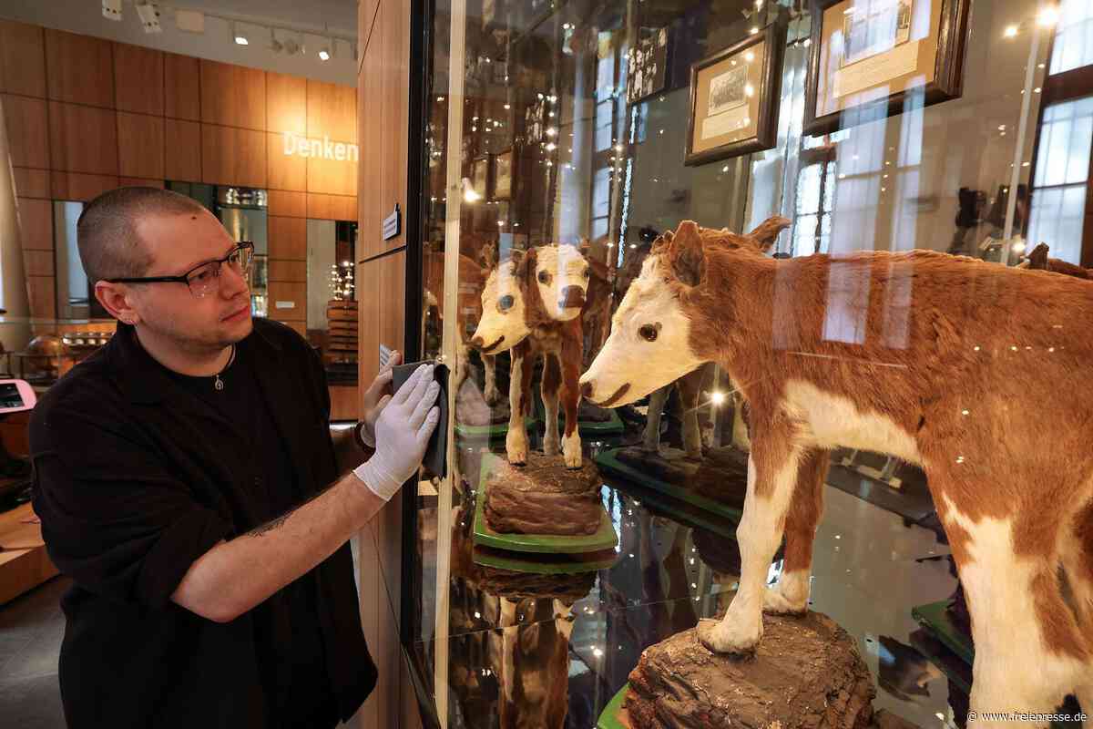 Museum in Waldenburg: So feiert das traditionsreiche Haus seinen runden Geburtstag