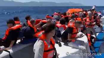 Cyprus ferry disaster survivors saw 'panic' and children drown as people 'jumped into sea out of fear'
