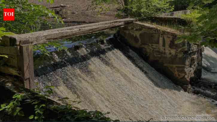Massachusetts removed a dam that had blocked the Town River for more than 100 years