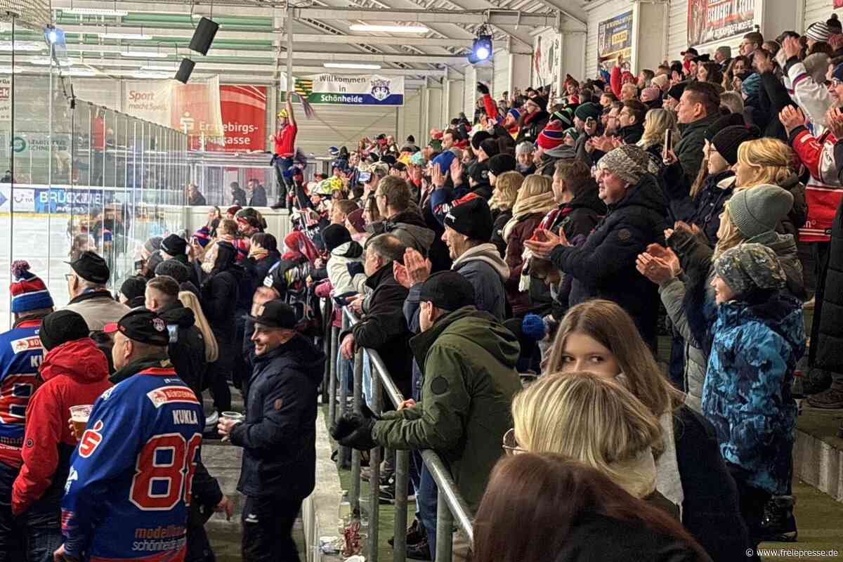 Bei den Eishockey-Wölfen im Erzgebirge steigen die Preise