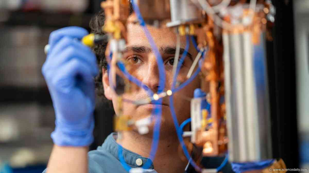 A “quantum bath” puts quantum entanglement on autopilot