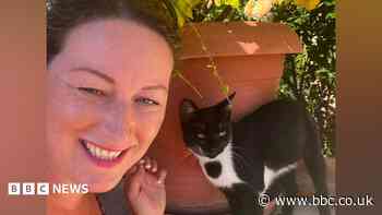'I adopted stray cats I fell in love with on holiday'