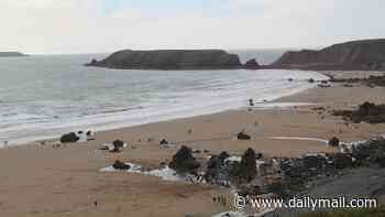 Teenage boy is swept out to sea off Welsh beach as coastguard launch search