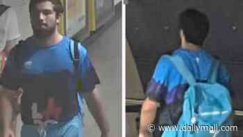 Police release CCTV of man after woman sexually assaulted on London Underground during rush hour