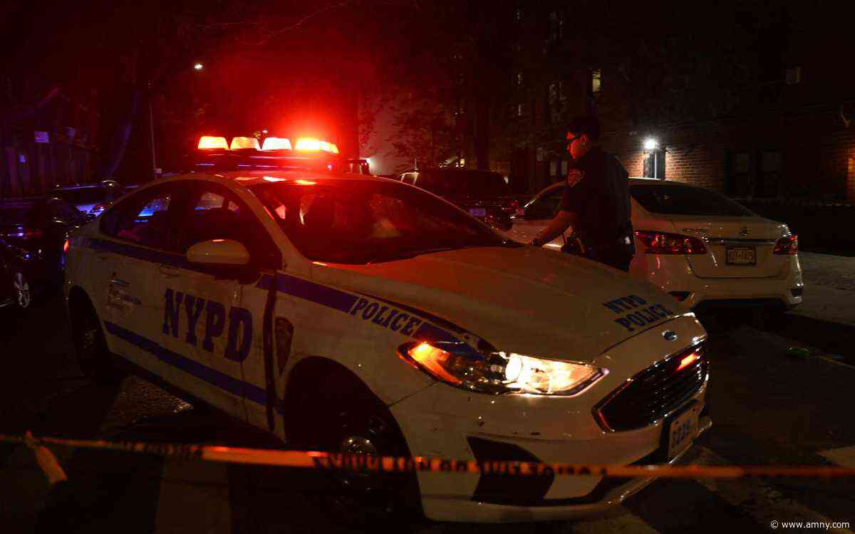 Brooklyn nurse, 28, killed in hit-and-run crash after working night shift; driver still at large