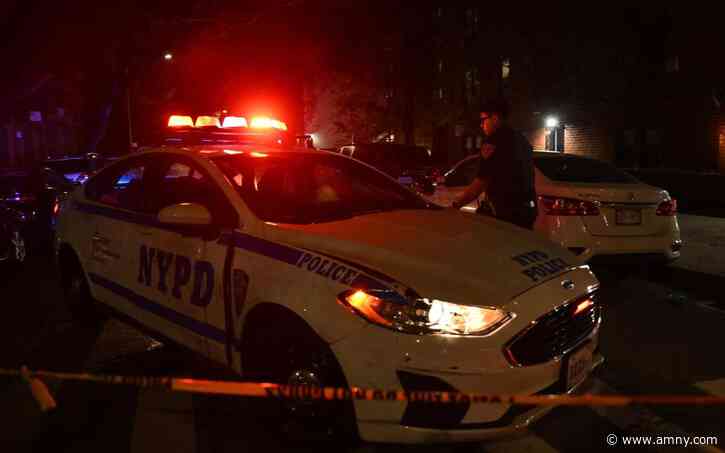 Brooklyn nurse, 28, killed in hit-and-run crash after working night shift; driver still at large