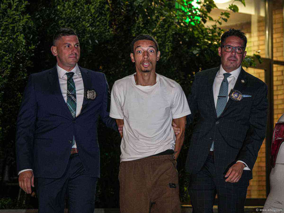 Alleged robber wanted for fatally shooting two men in the Bronx and Brooklyn taken into custody: sources